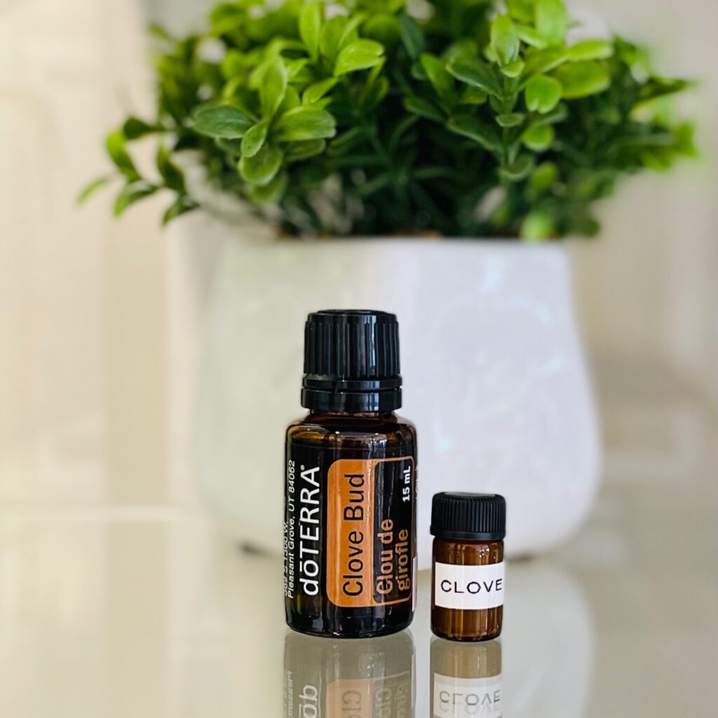 DoTerraClove Oil 5ml Oral Health Shoppe